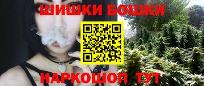 тгк Будённовск