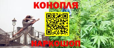 гашик Бузулук