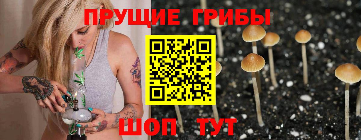 Галлюциногенные грибы Psilocybine cubensis  Вход с VPN  Стрежевой 